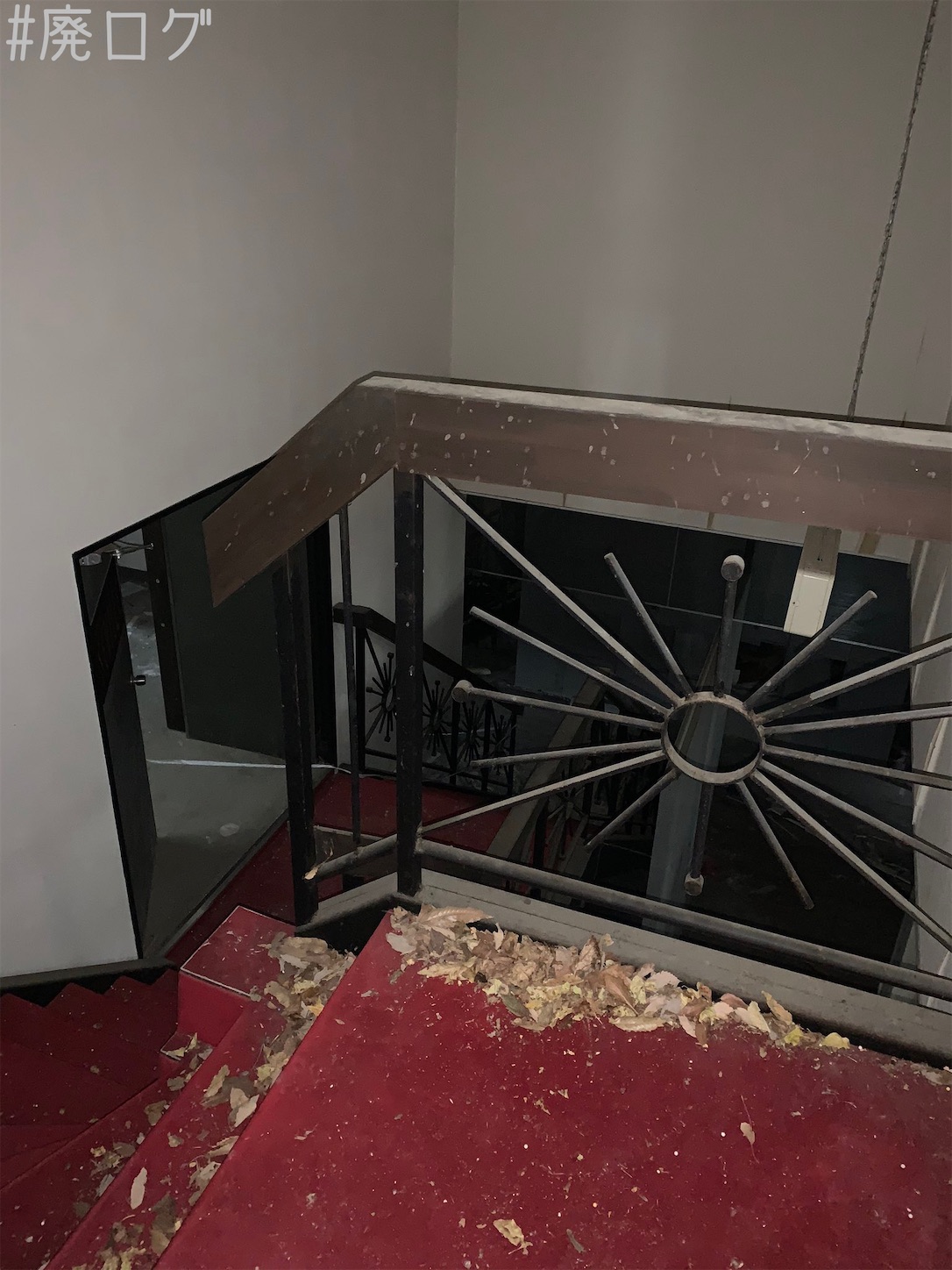 f:id:hiyapa:20201222082110j:image