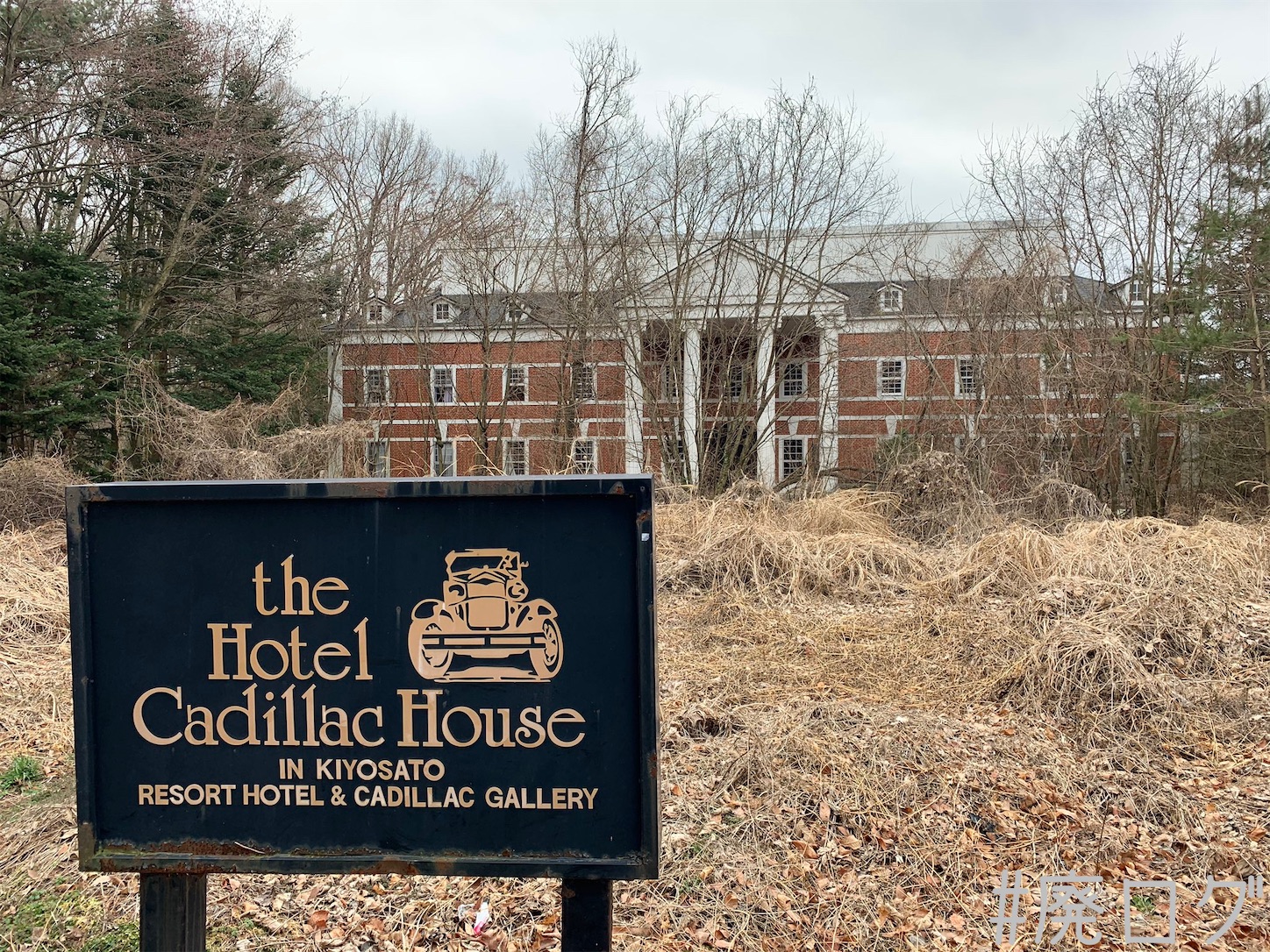 f:id:hiyapa:20201222082329j:image