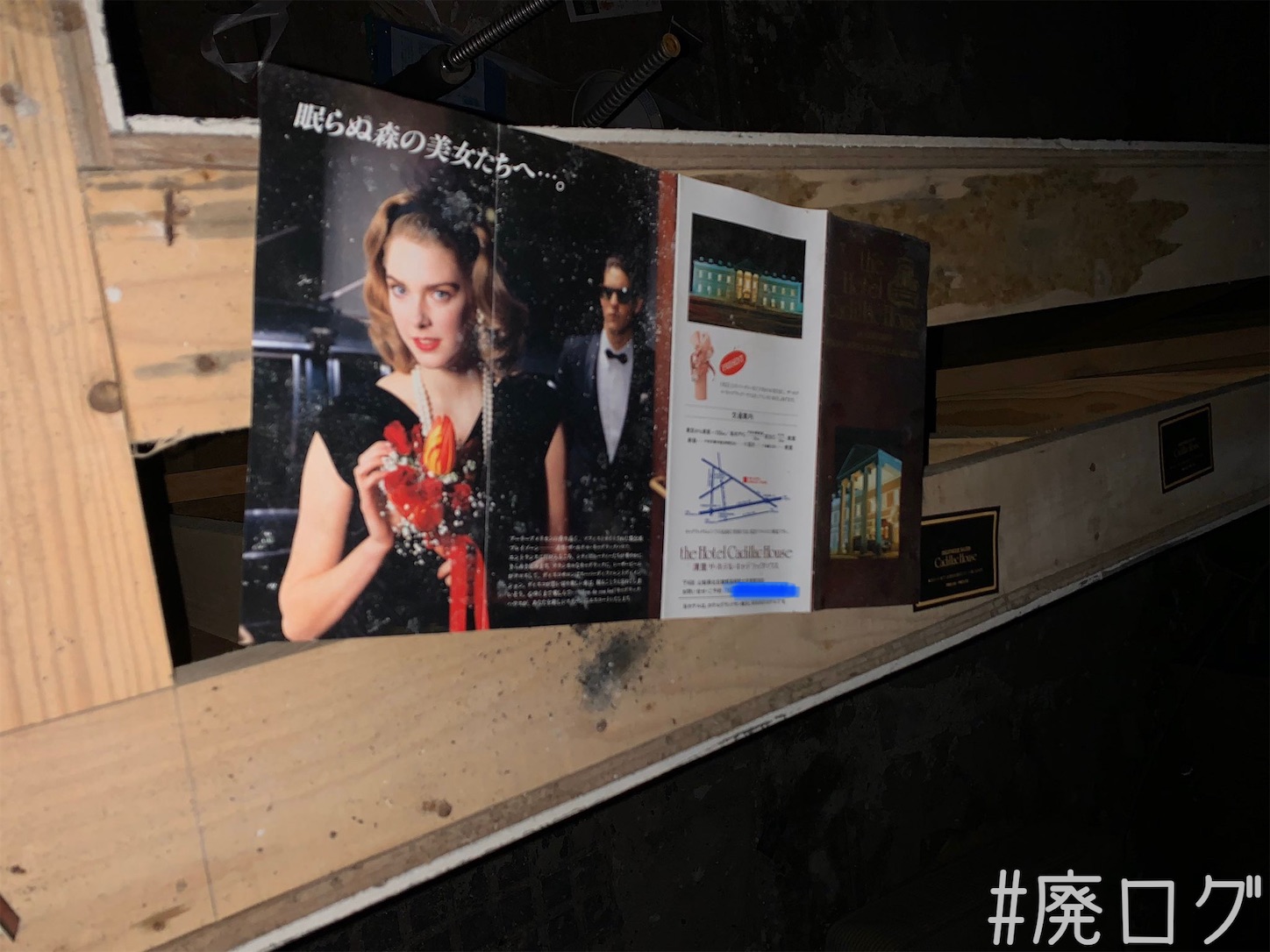 f:id:hiyapa:20201222082442j:image