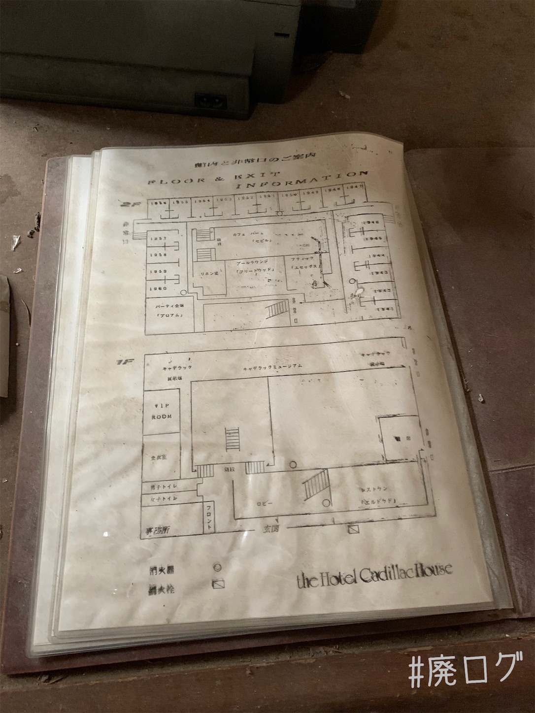 f:id:hiyapa:20201222082503j:image