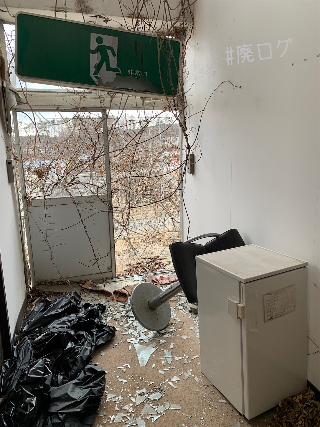 f:id:hiyapa:20201222082533j:image