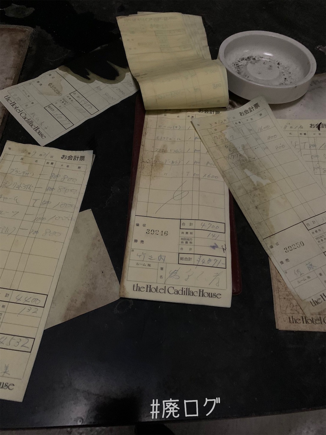 f:id:hiyapa:20201222082608j:image