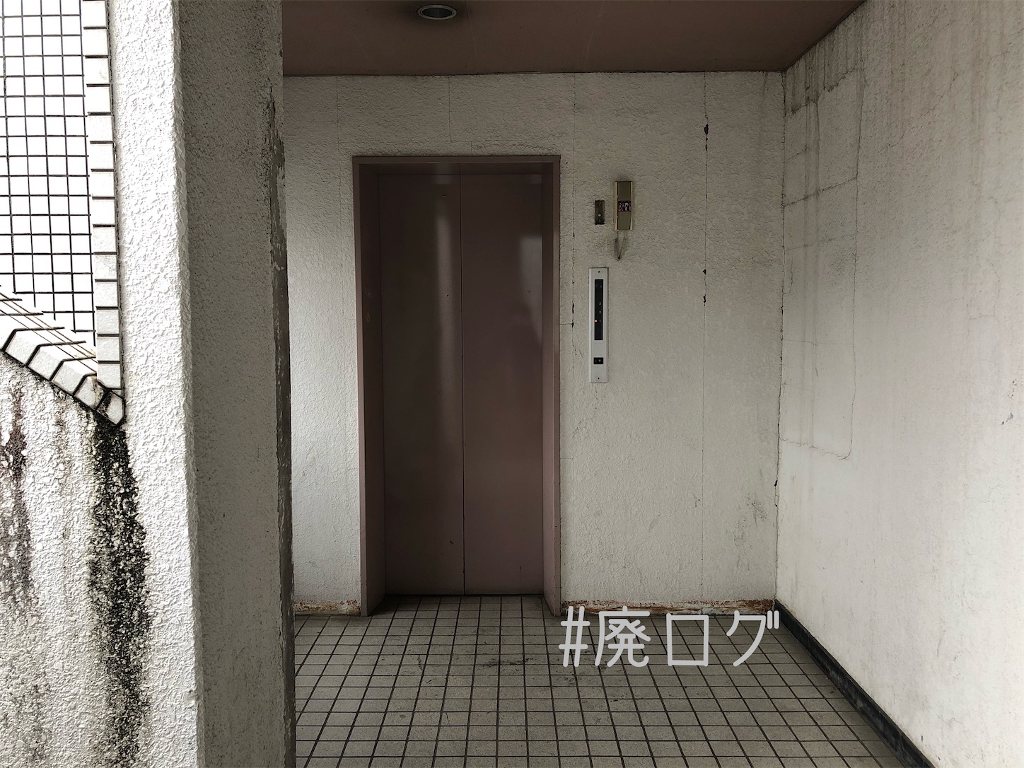 f:id:hiyapa:20210103220509j:image f:id:hiyapa:20210103220509j:image