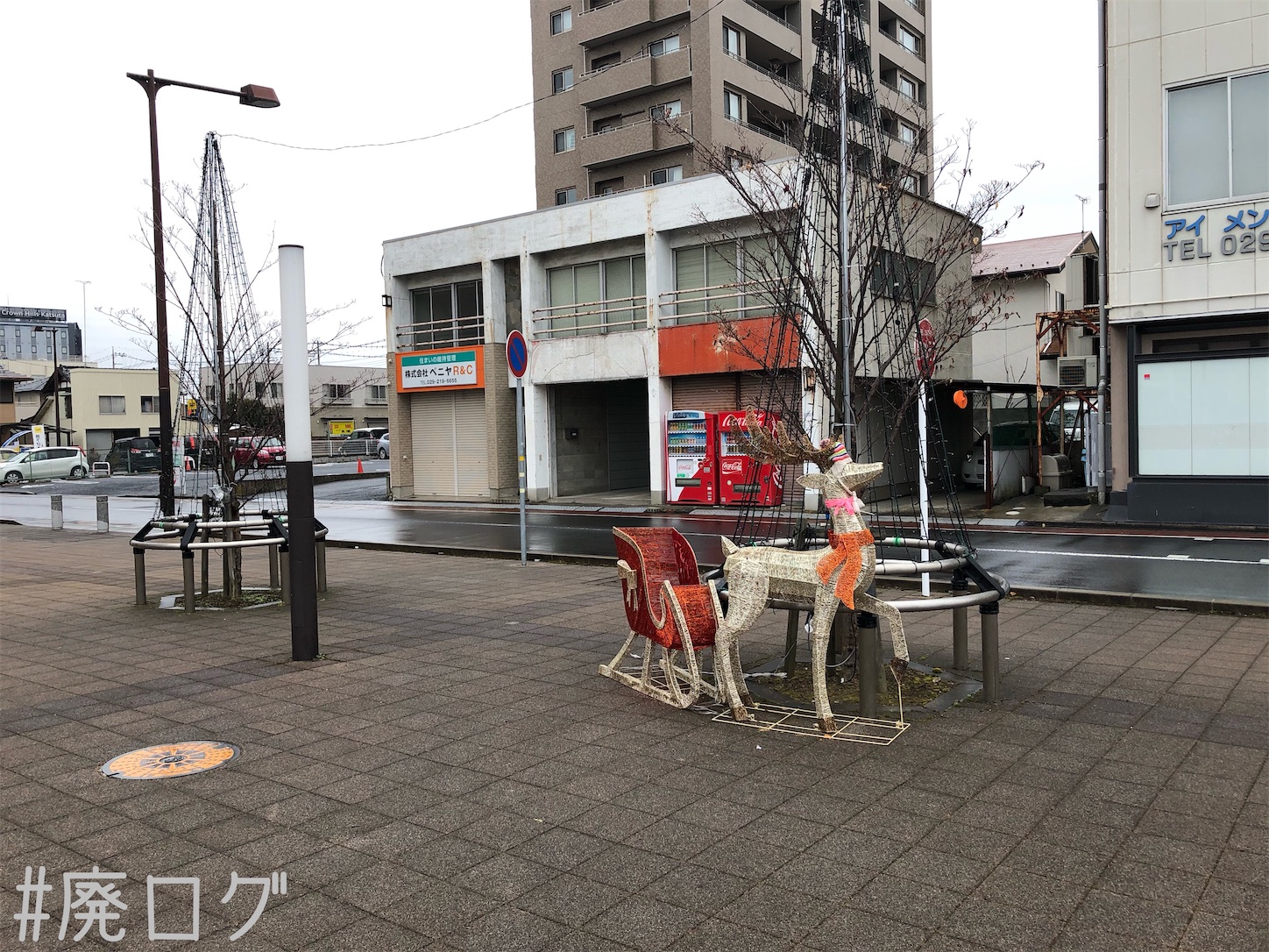 f:id:hiyapa:20210103220911j:image f:id:hiyapa:20210103220911j:image
