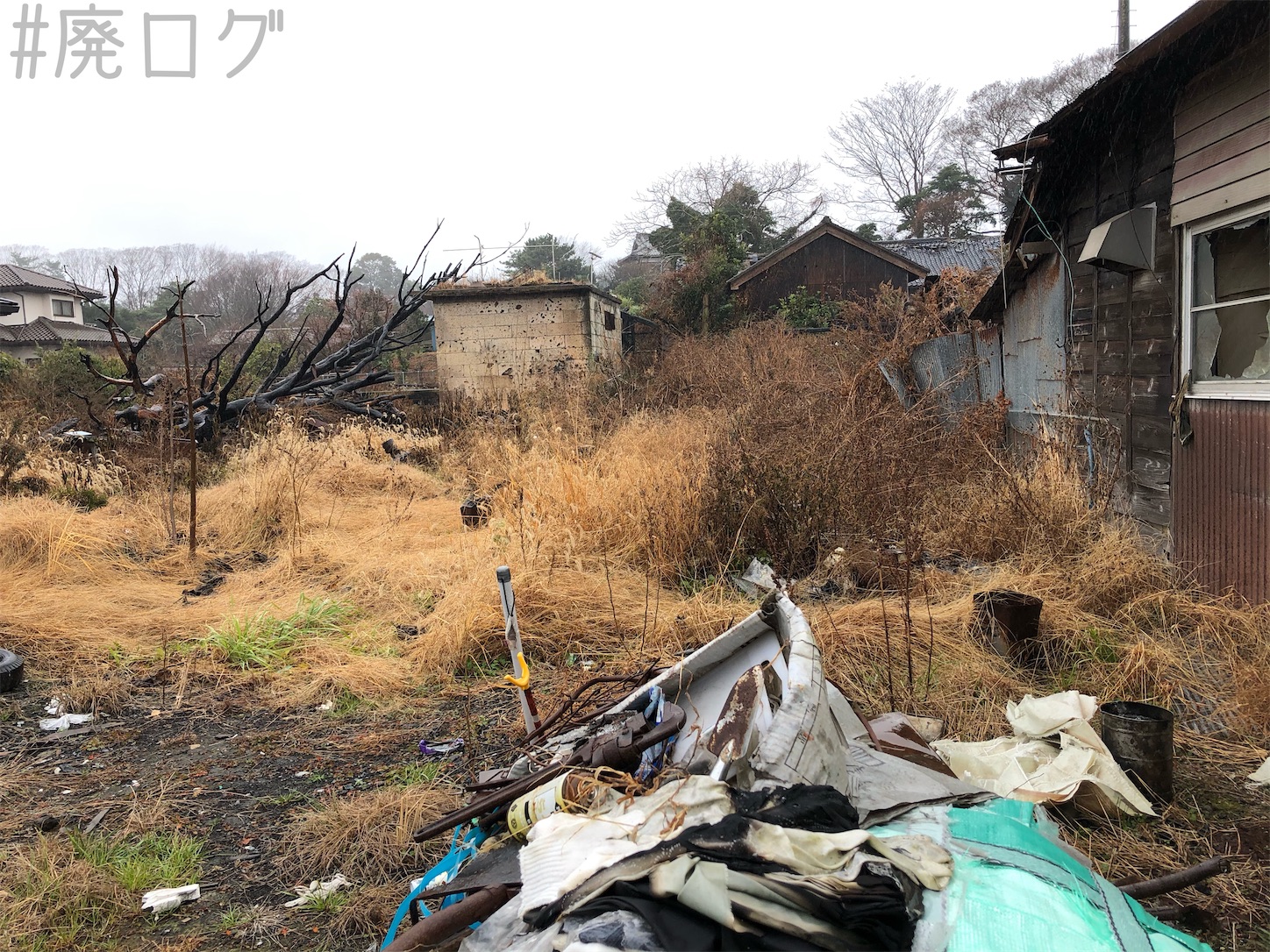 f:id:hiyapa:20210112230909j:image