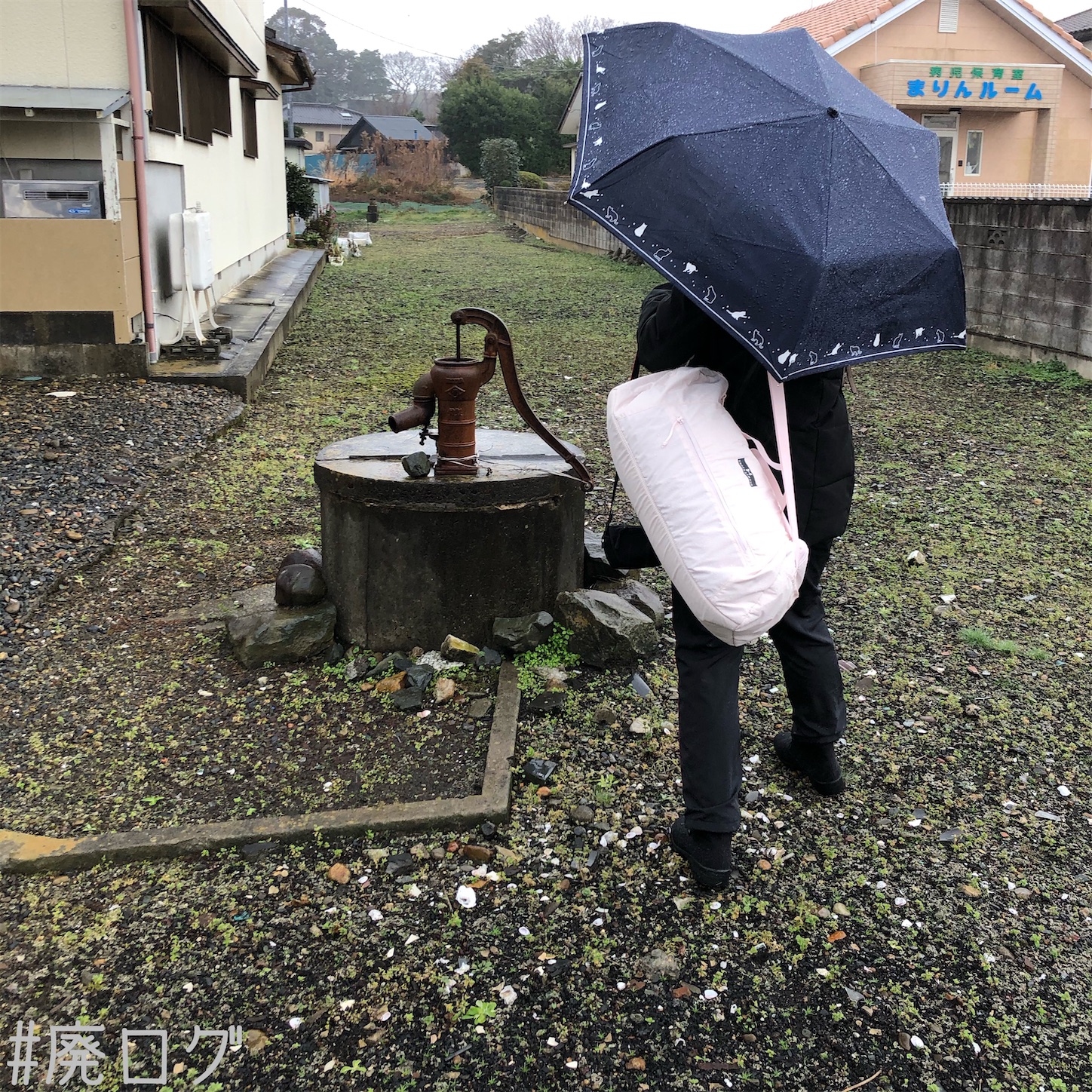 f:id:hiyapa:20210112230948j:image