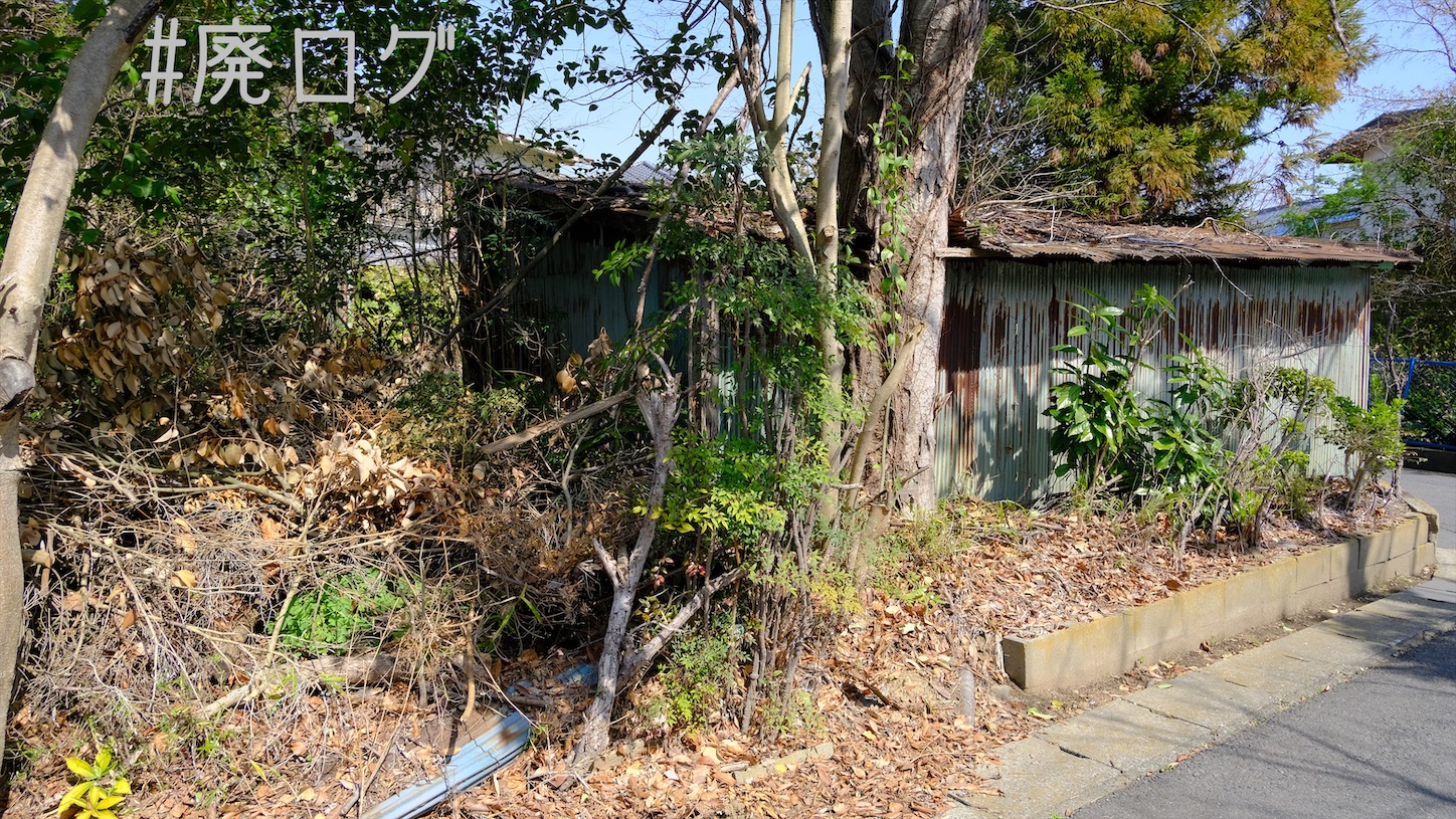 f:id:hiyapa:20210324080628j:image