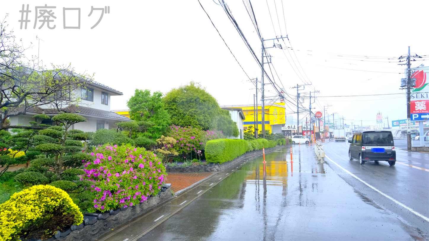 f:id:hiyapa:20210430235517j:image f:id:hiyapa:20210430235517j:image