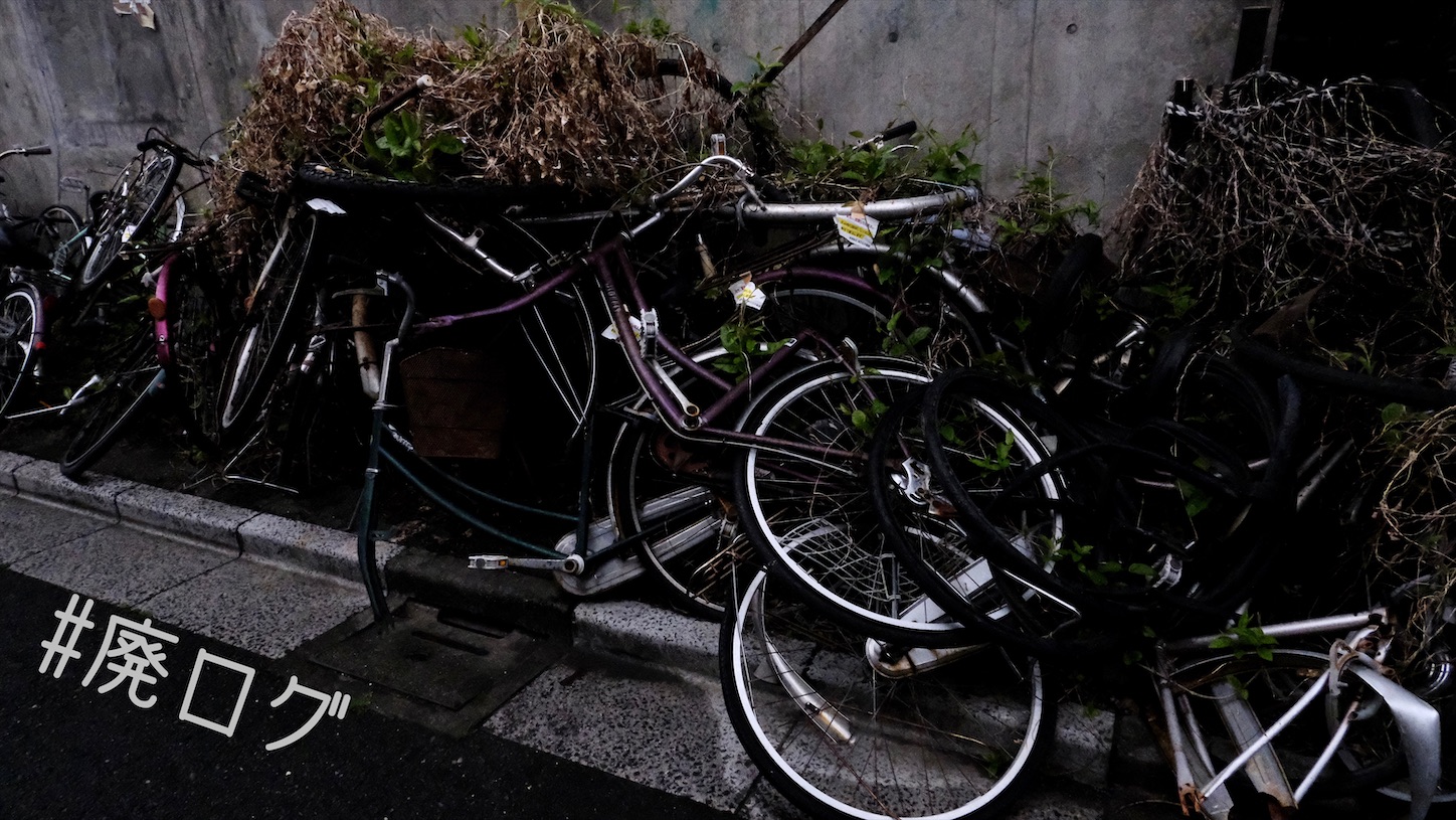 f:id:hiyapa:20210501201027j:image f:id:hiyapa:20210501201027j:image