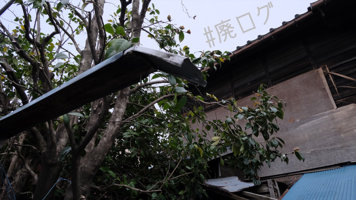 f:id:hiyapa:20210511082036j:image f:id:hiyapa:20210511082036j:image