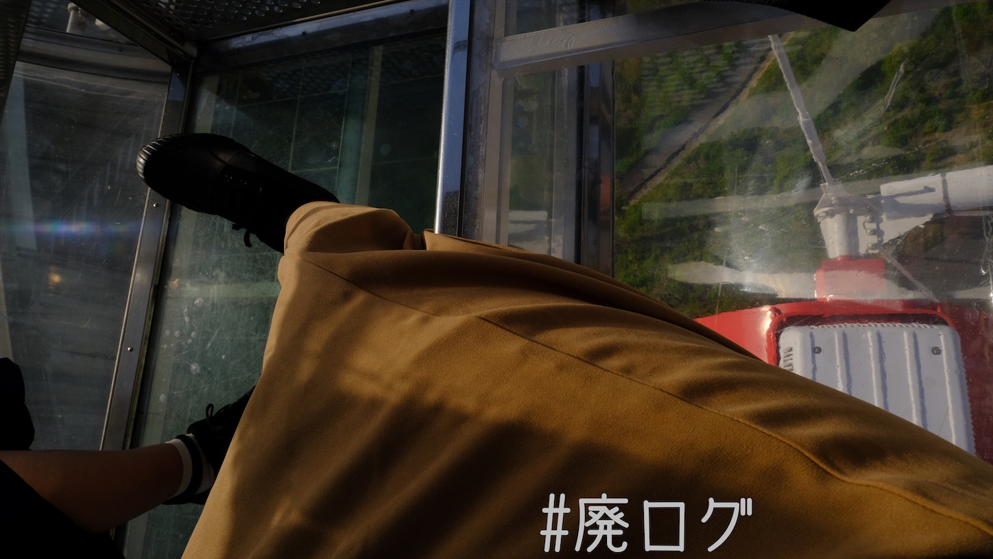 f:id:hiyapa:20210511231841j:image f:id:hiyapa:20210511231841j:image