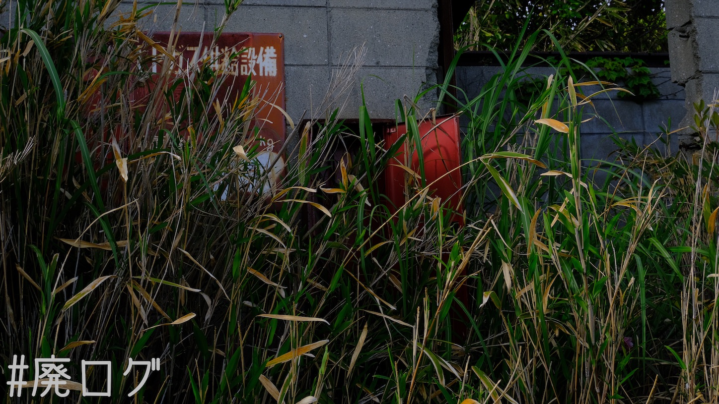 f:id:hiyapa:20210511231955j:image f:id:hiyapa:20210511231955j:image