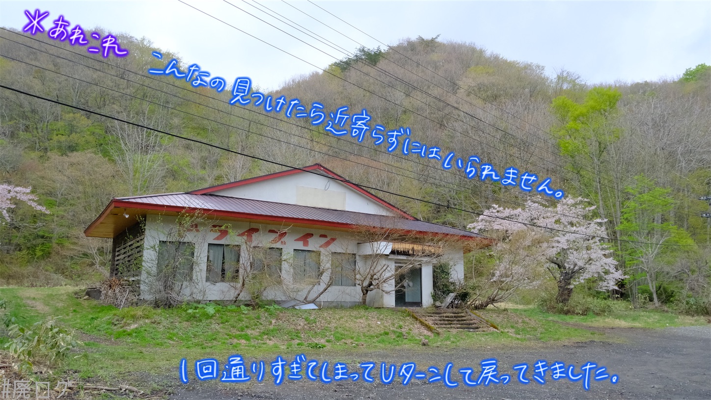 f:id:hiyapa:20210606002156j:image