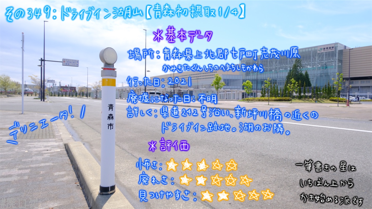 f:id:hiyapa:20210606004100j:image