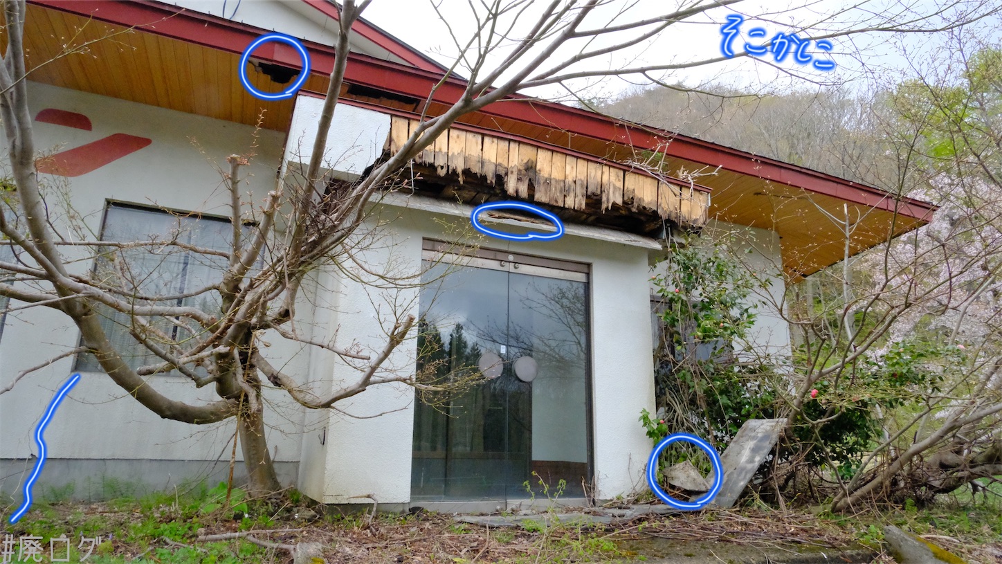 f:id:hiyapa:20210606004145j:image