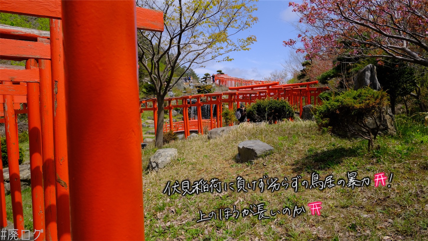 f:id:hiyapa:20210606213251j:image