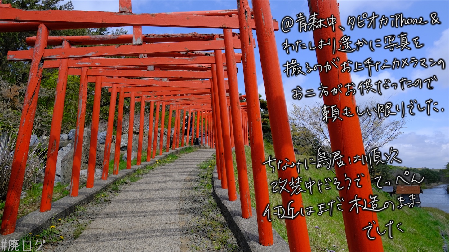 f:id:hiyapa:20210606215517j:image