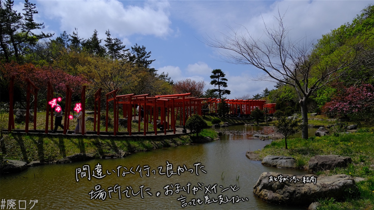 f:id:hiyapa:20210606220228j:image