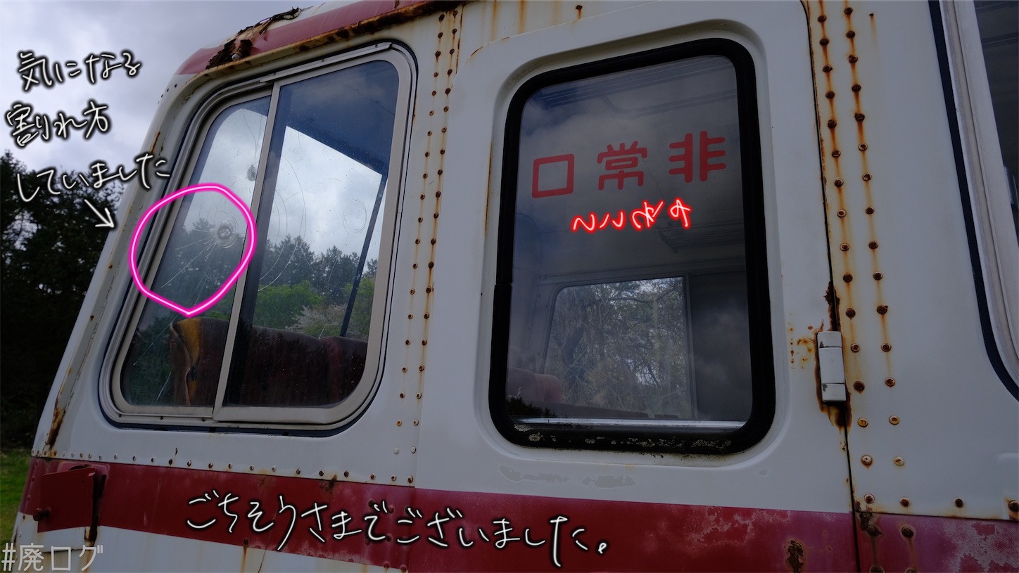 f:id:hiyapa:20210607220409j:image