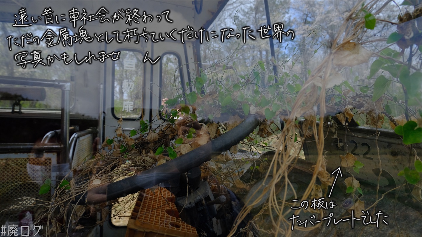 f:id:hiyapa:20210607220417j:image