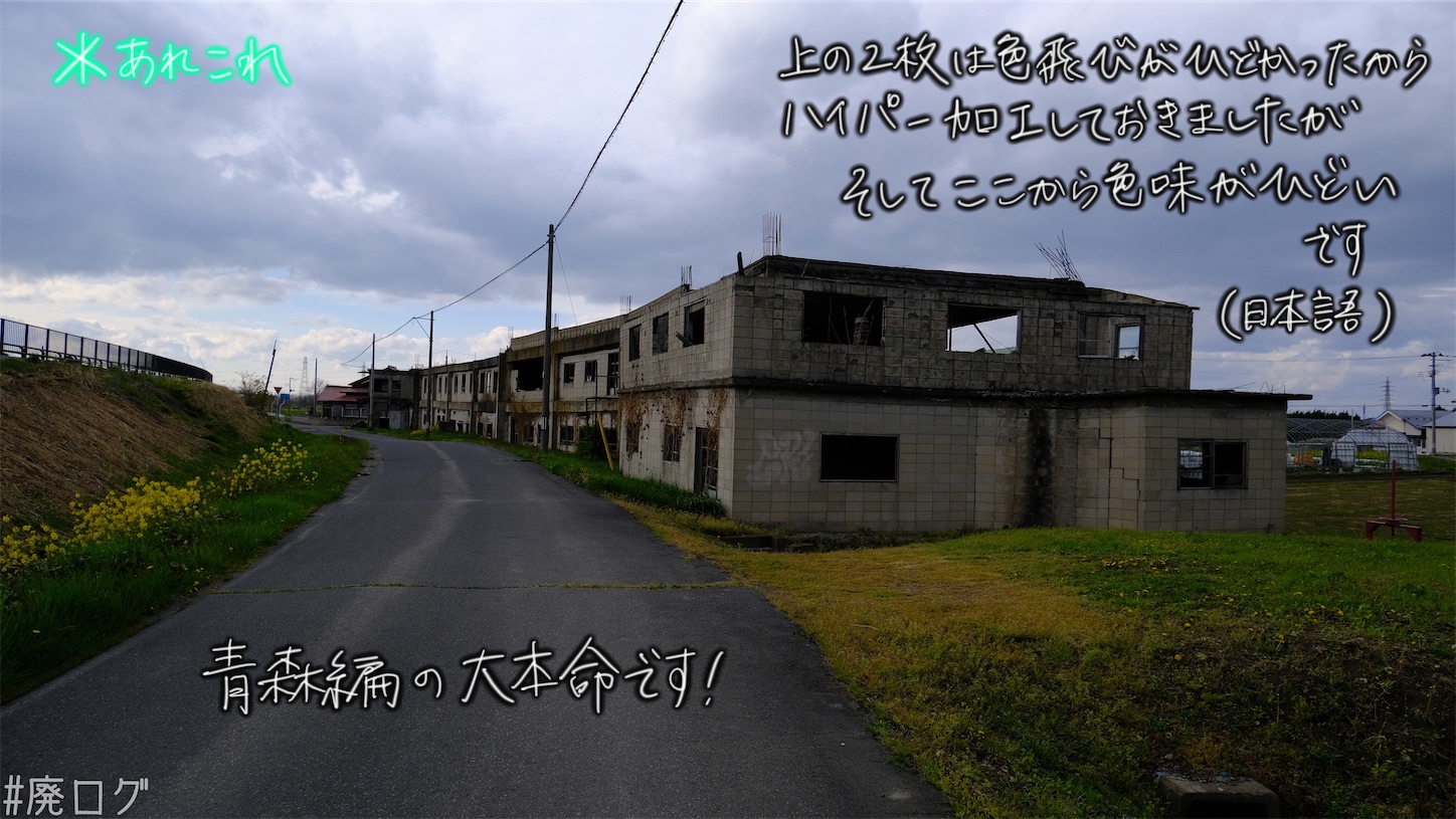 f:id:hiyapa:20210609213546j:image