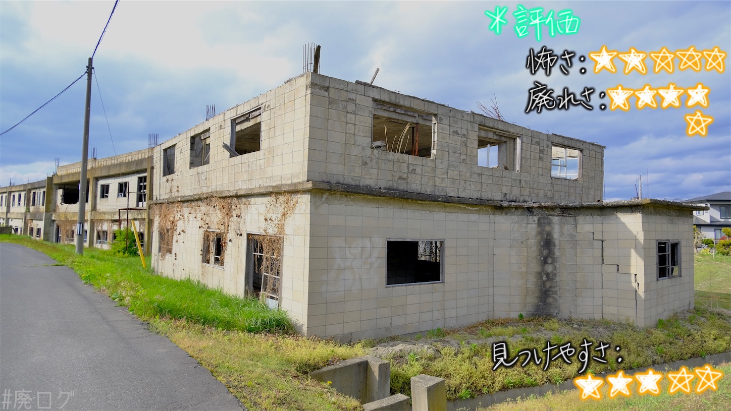 f:id:hiyapa:20210609213722j:image