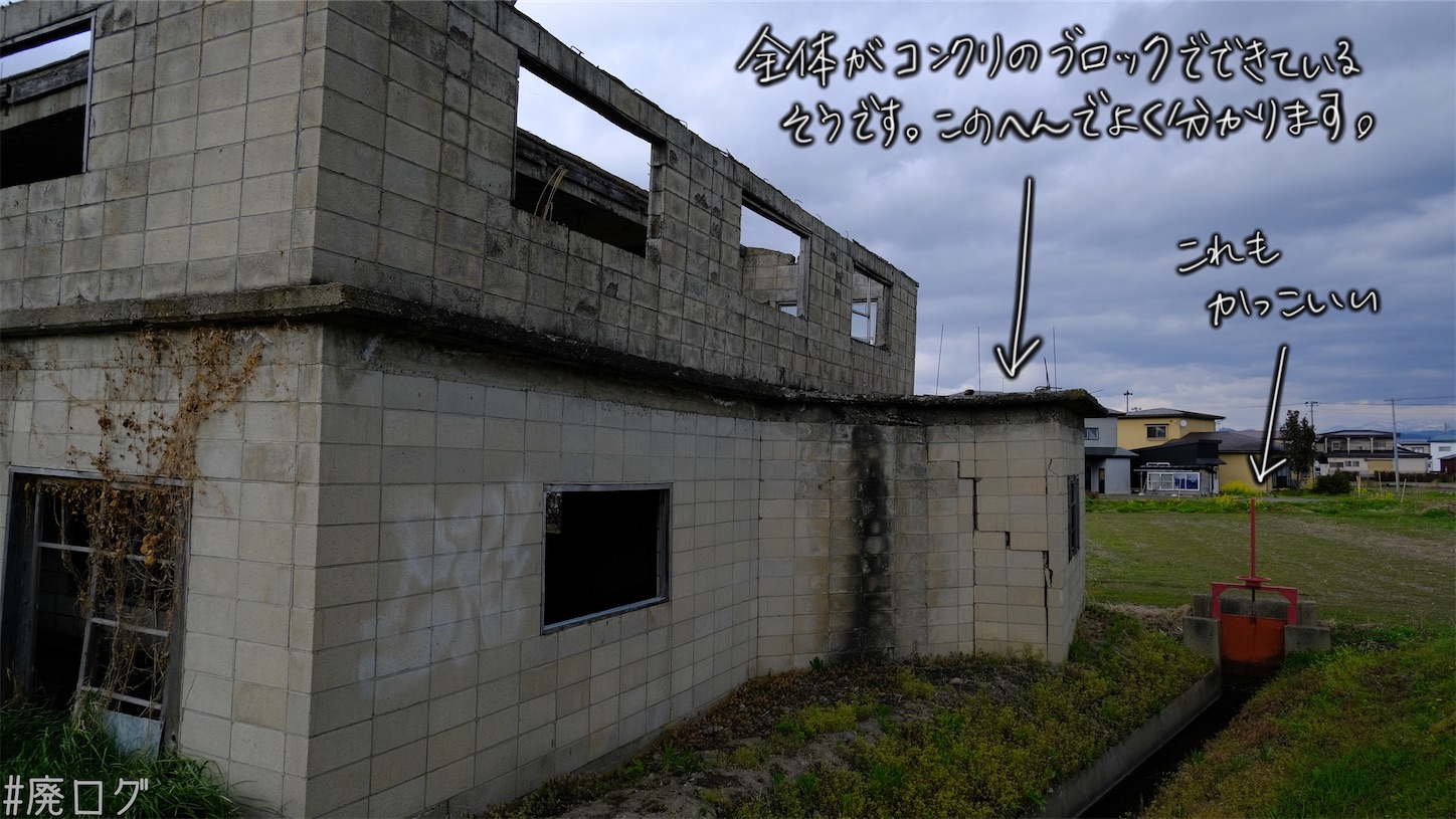 f:id:hiyapa:20210609215233j:image