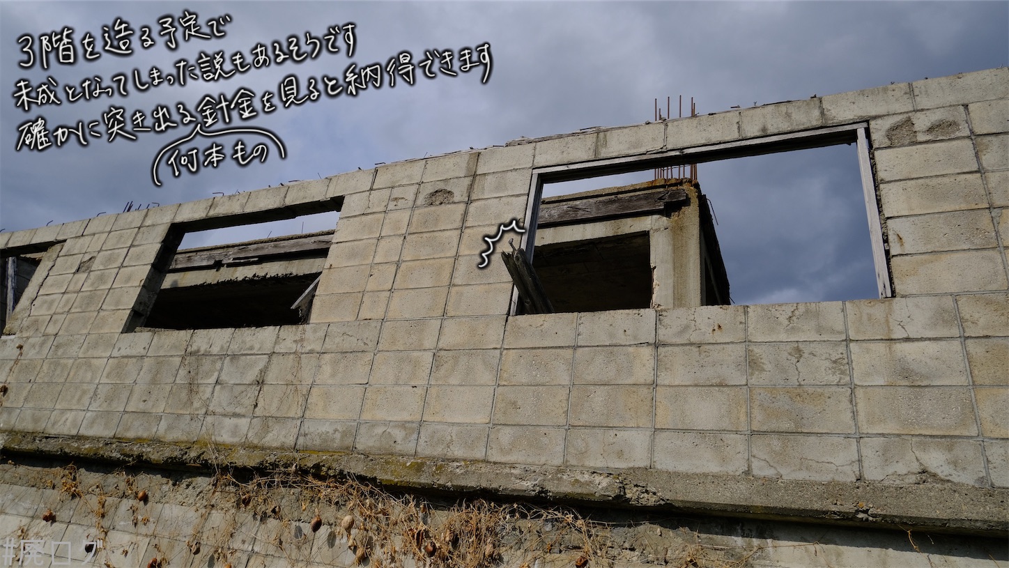 f:id:hiyapa:20210610223912j:image