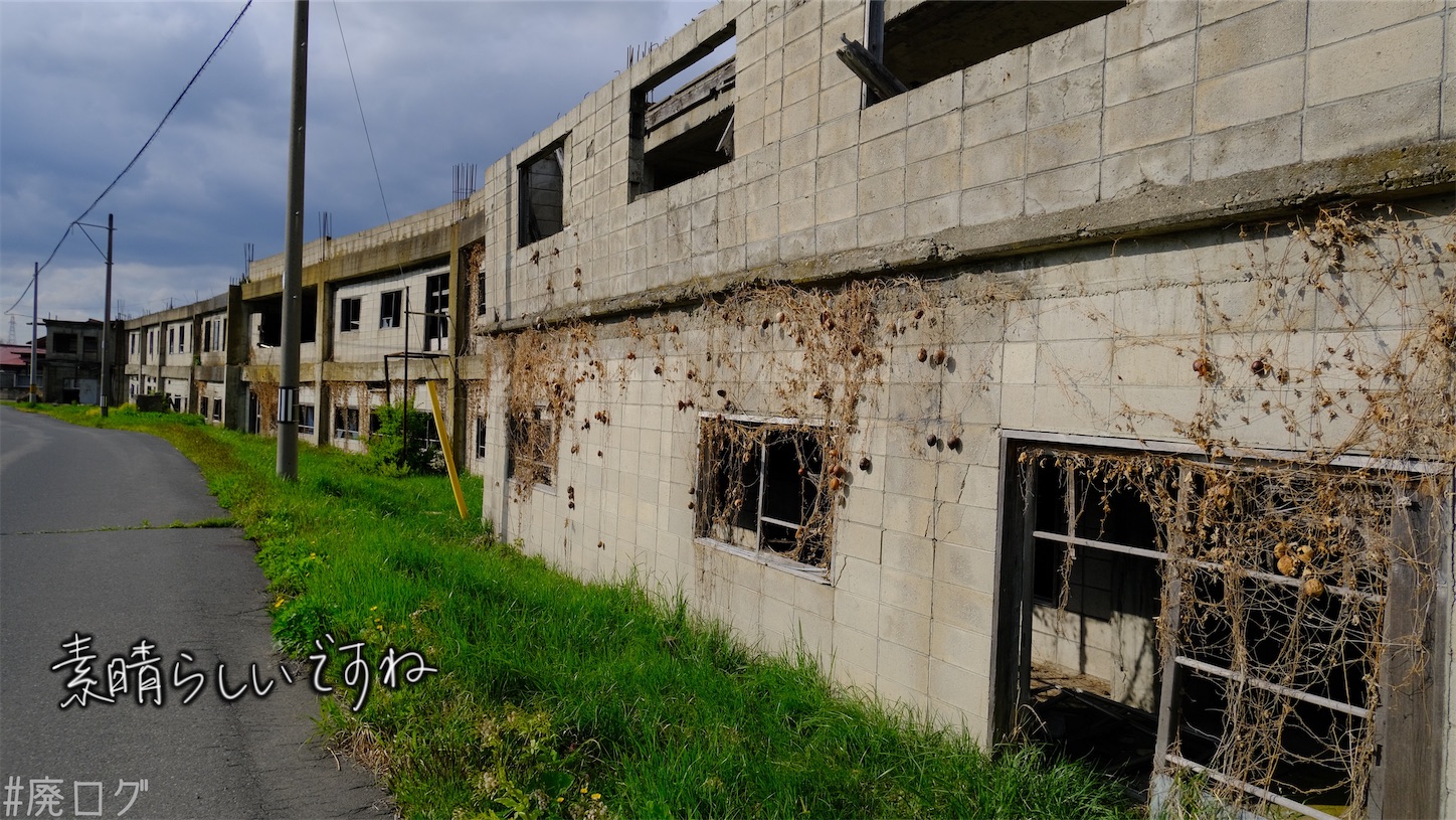 f:id:hiyapa:20210610223917j:image