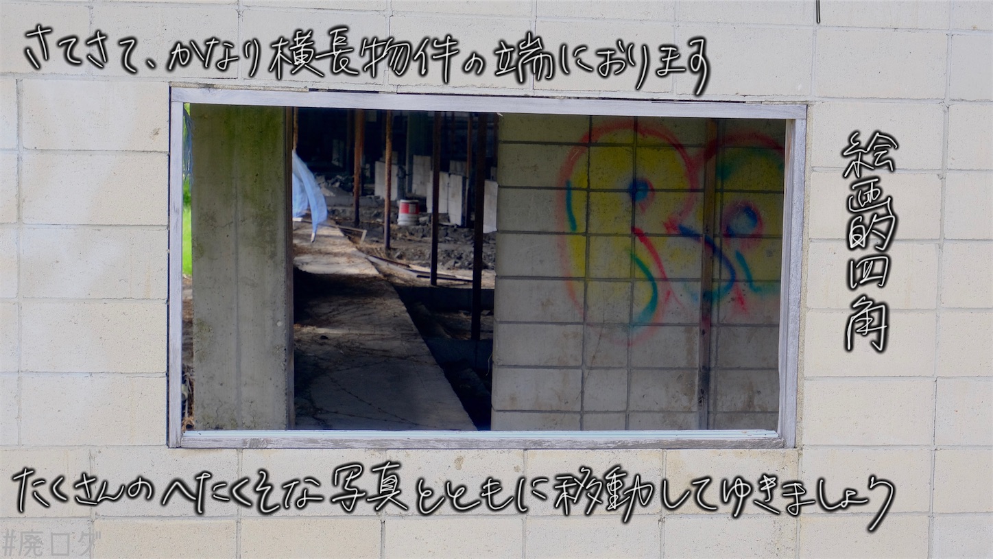 f:id:hiyapa:20210610223921j:image