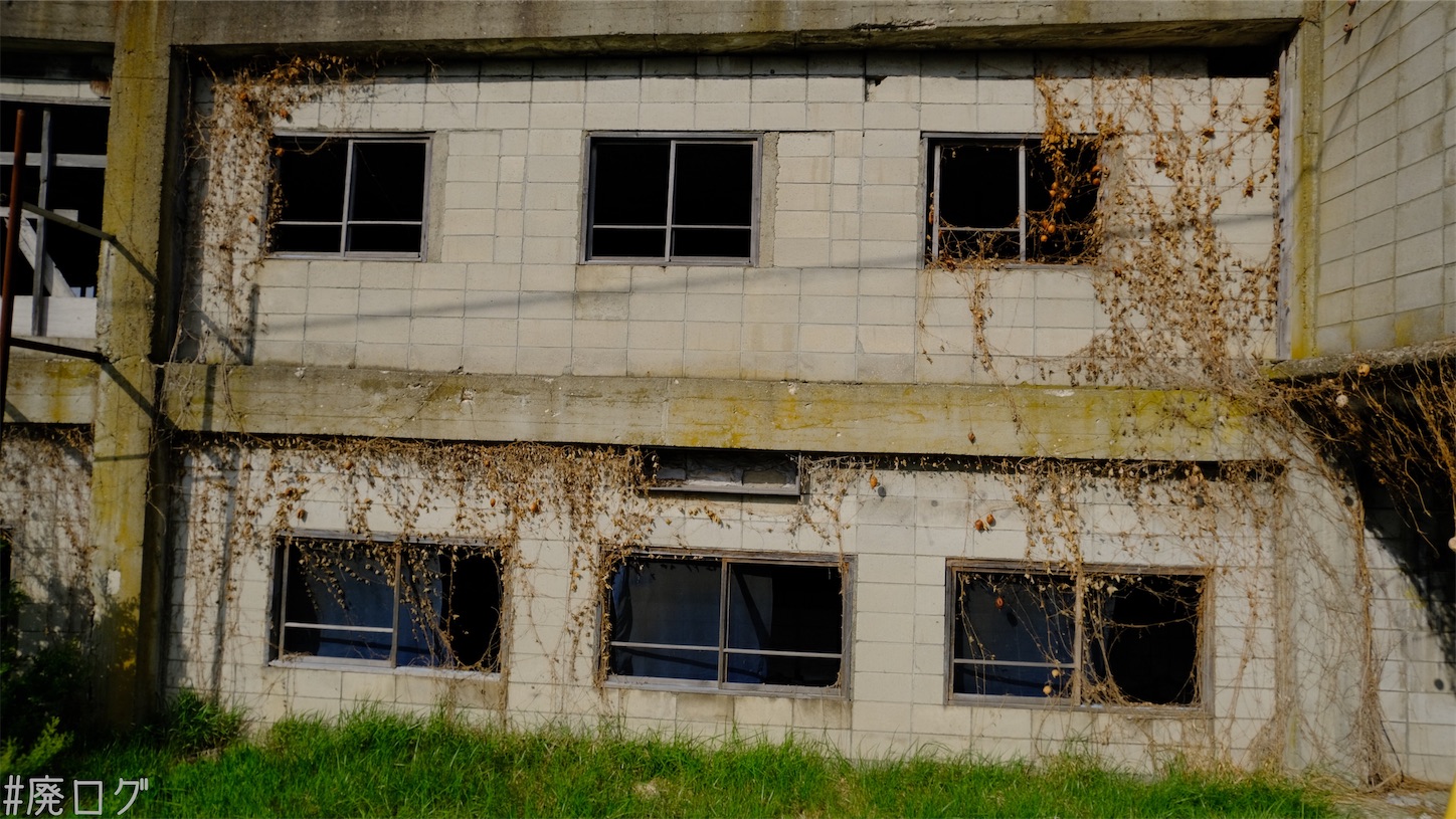 f:id:hiyapa:20210610223930j:image