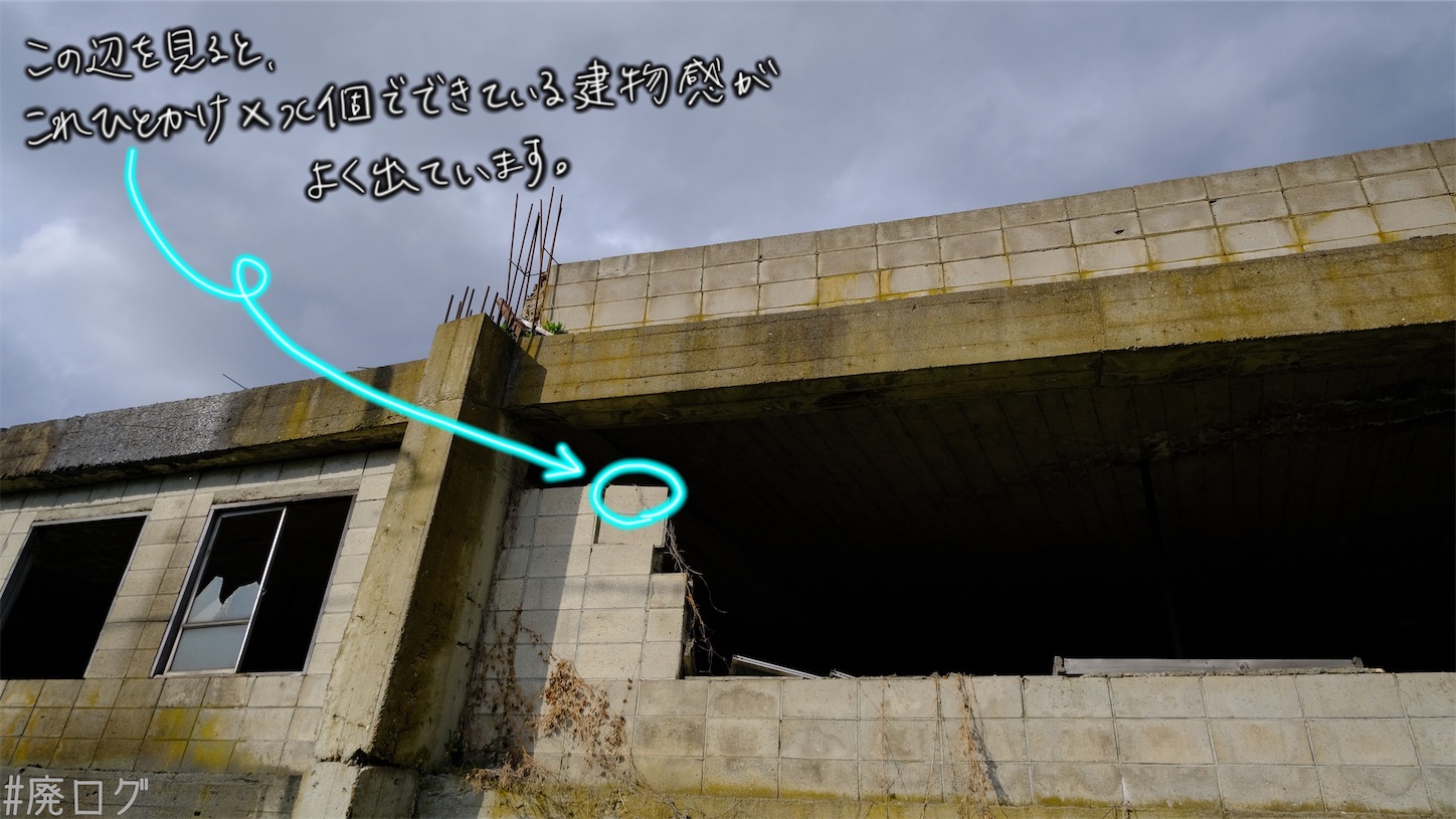 f:id:hiyapa:20210610224546j:image