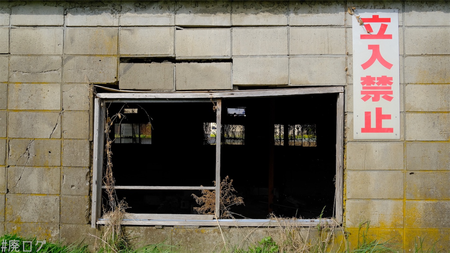 f:id:hiyapa:20210610225445j:image