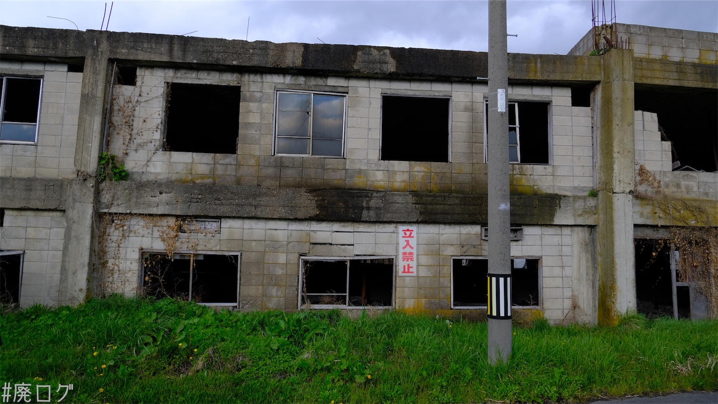 f:id:hiyapa:20210610225458j:image