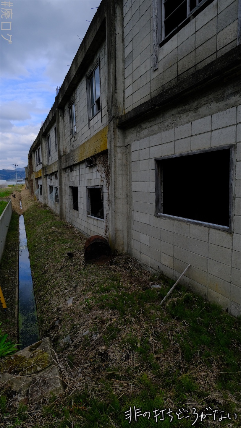 f:id:hiyapa:20210610225717j:image