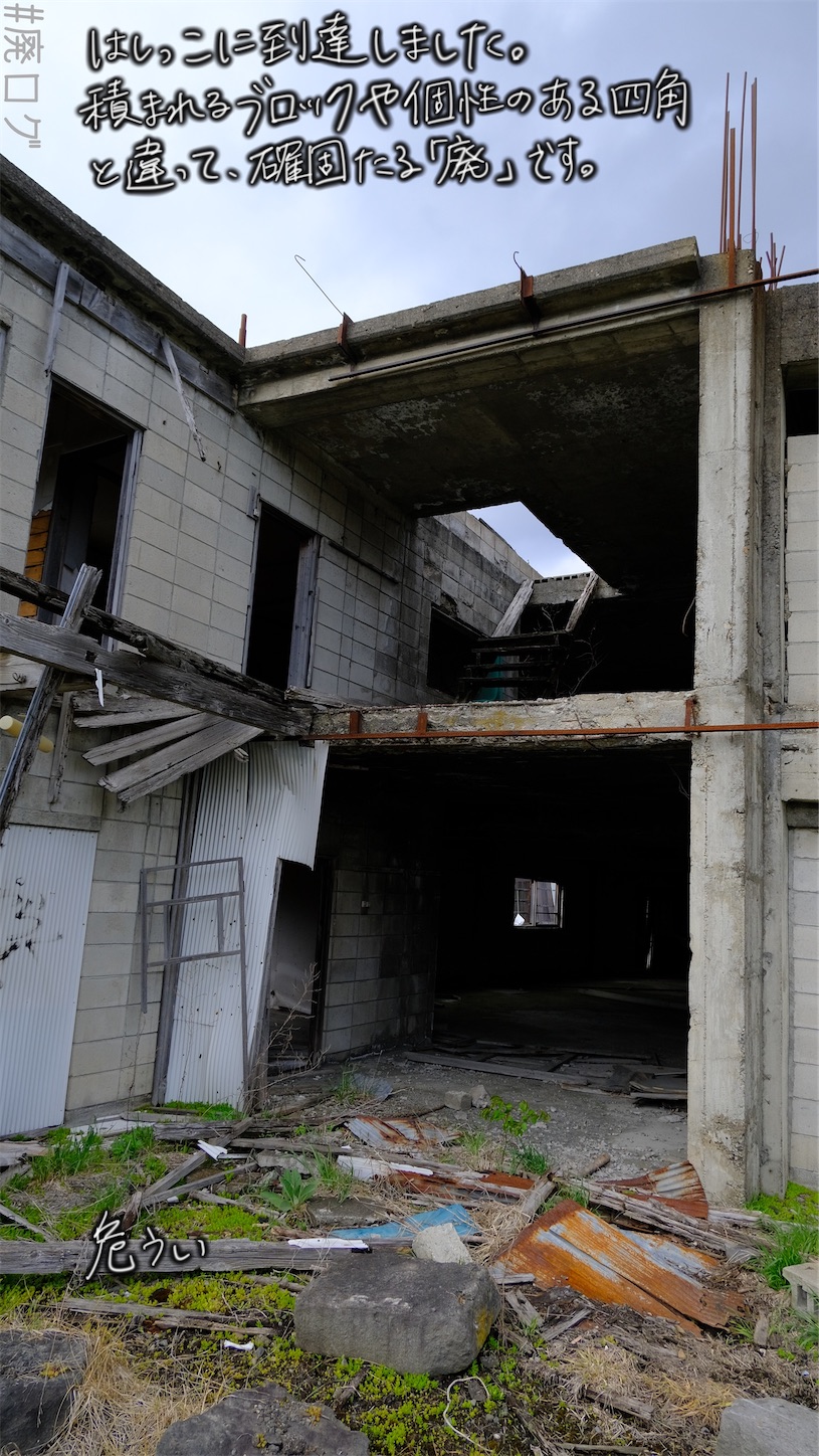 f:id:hiyapa:20210611220839j:image