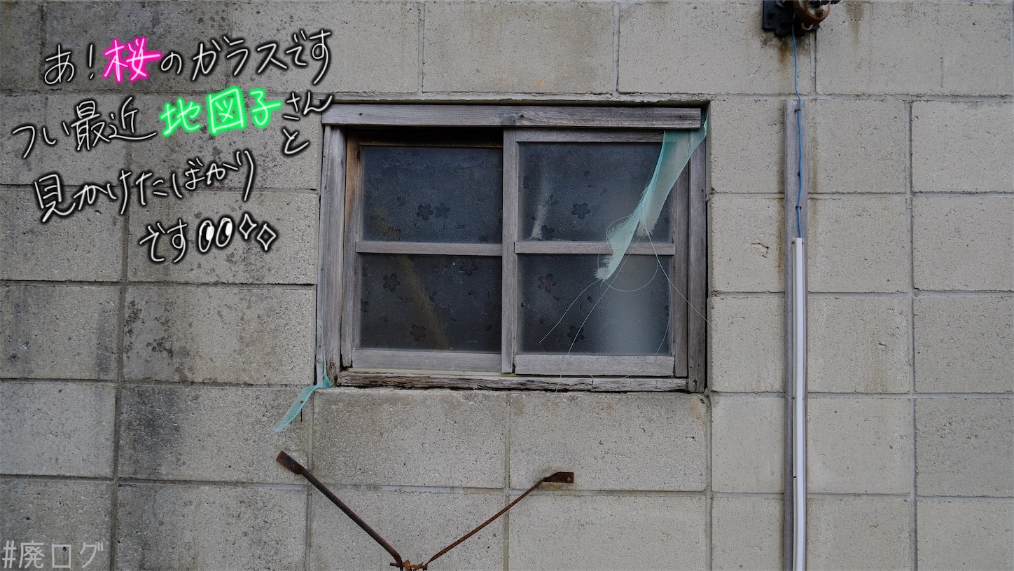 f:id:hiyapa:20210611220846j:image