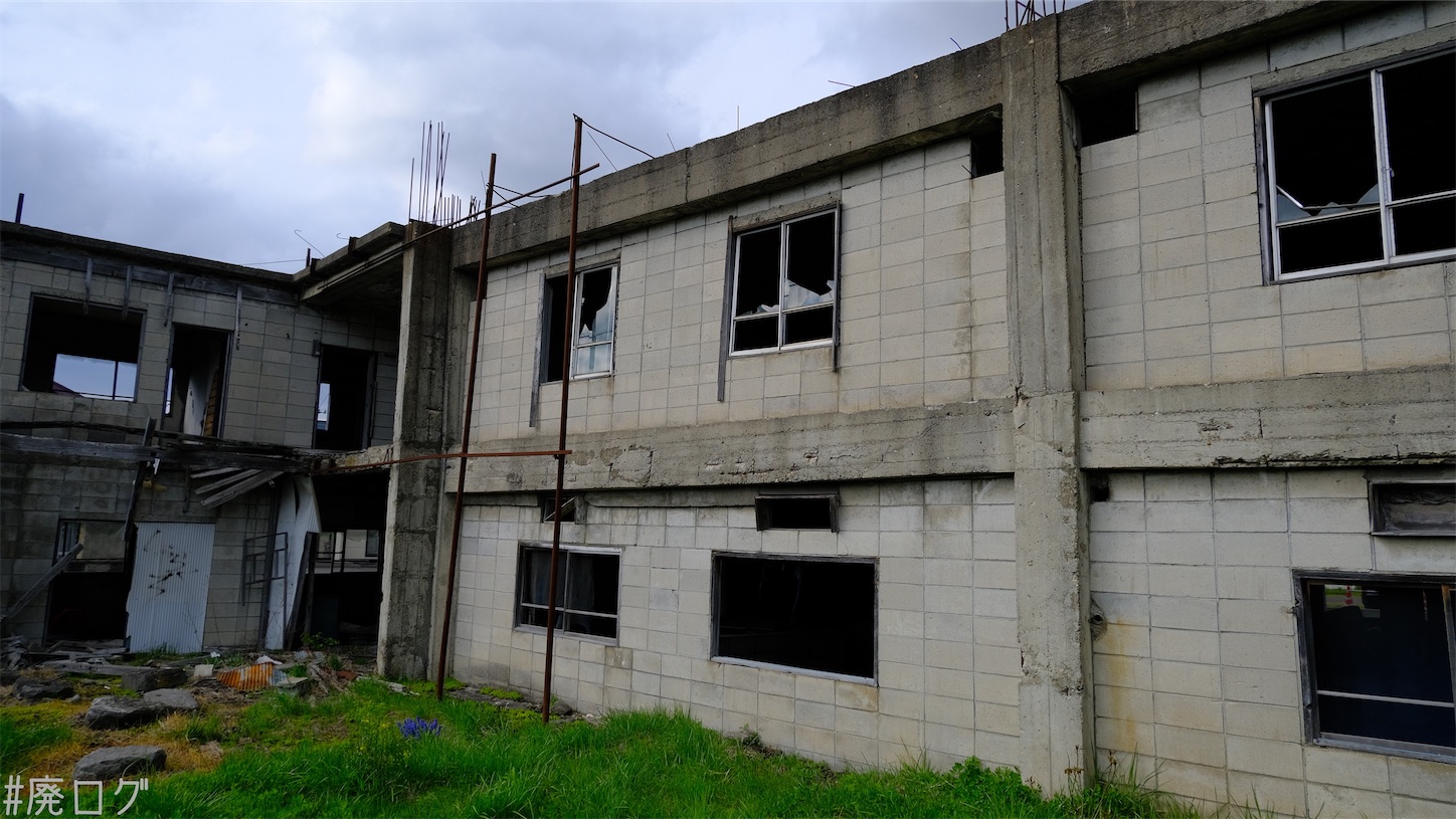 f:id:hiyapa:20210611220850j:image