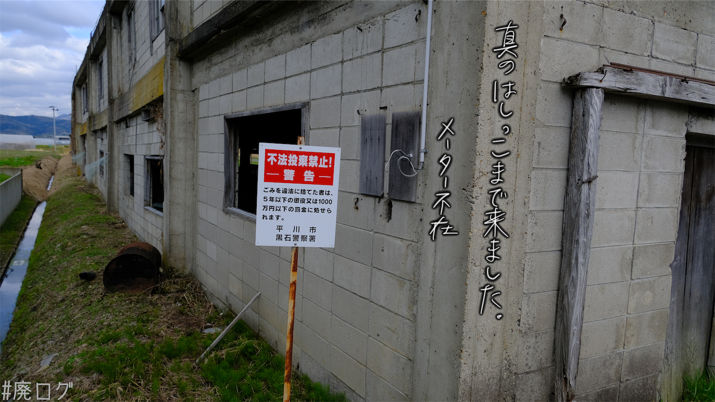 f:id:hiyapa:20210611221737p:image