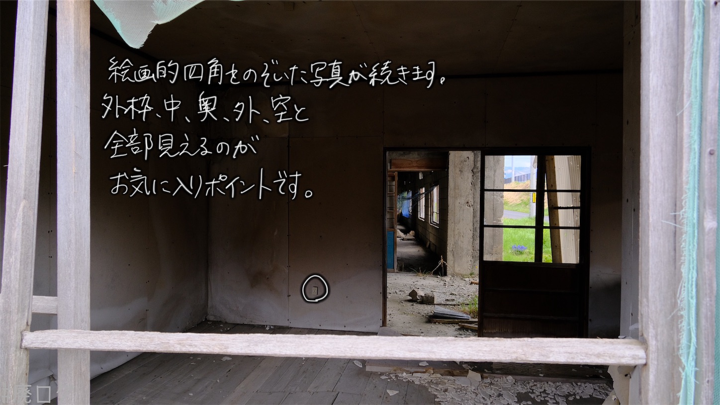 f:id:hiyapa:20210611221749j:image