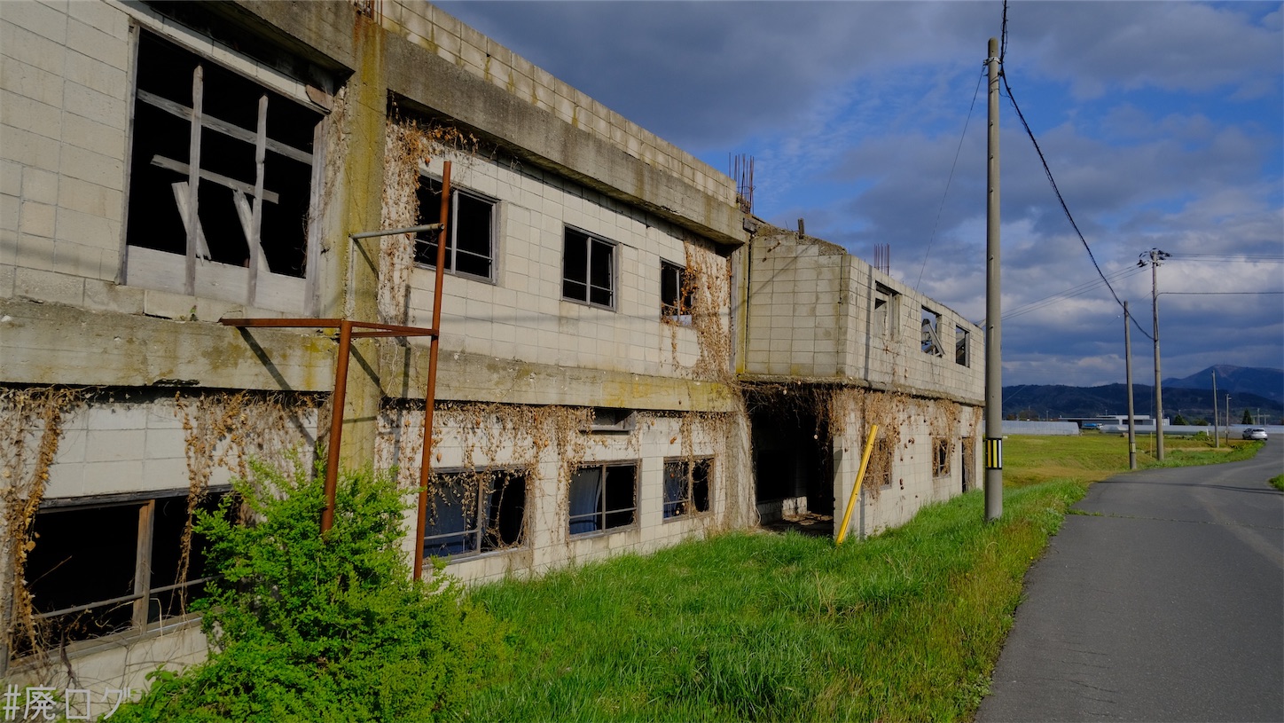 f:id:hiyapa:20210611222807j:image