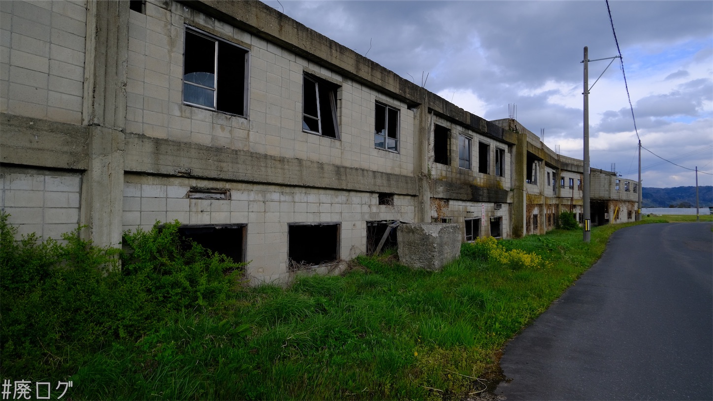 f:id:hiyapa:20210611222811j:image