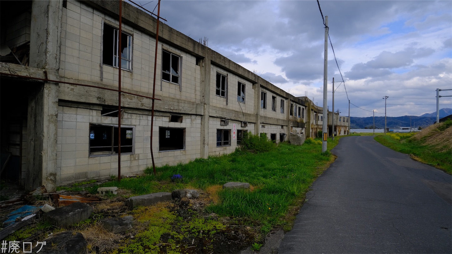 f:id:hiyapa:20210611222816j:image