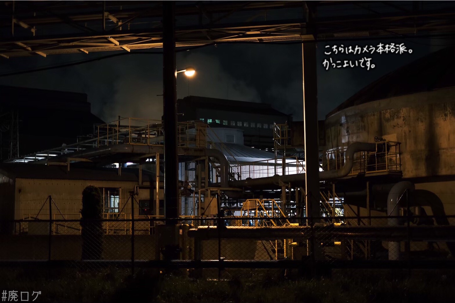 f:id:hiyapa:20210613164348j:image