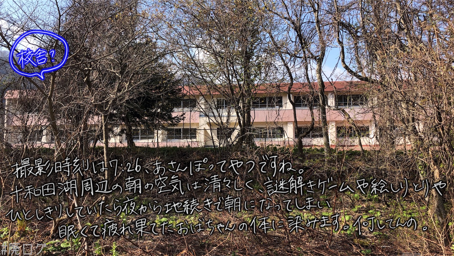 f:id:hiyapa:20210613172352j:image