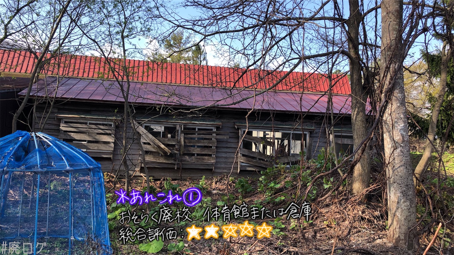 f:id:hiyapa:20210613172523j:image