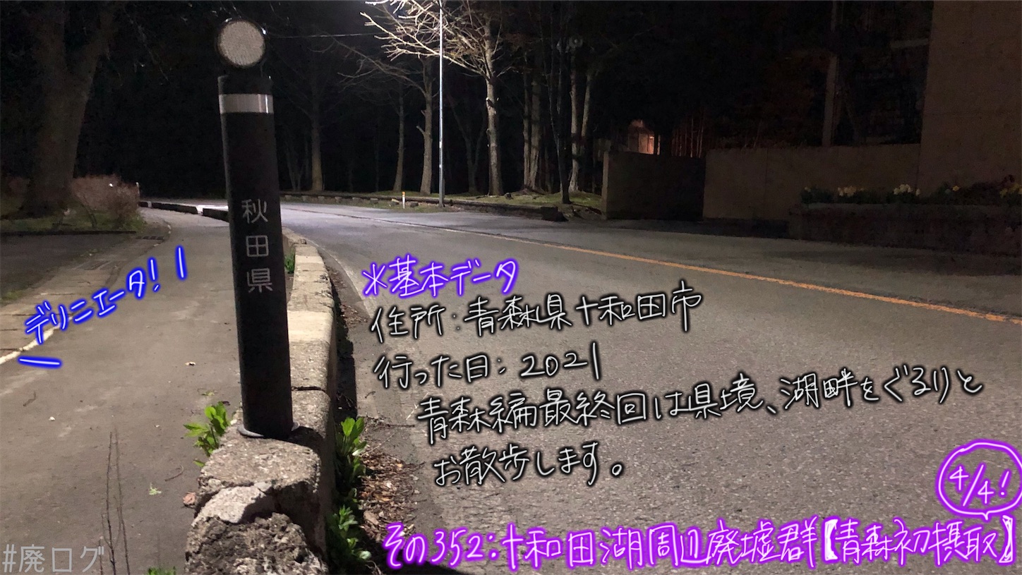 f:id:hiyapa:20210613172649j:image