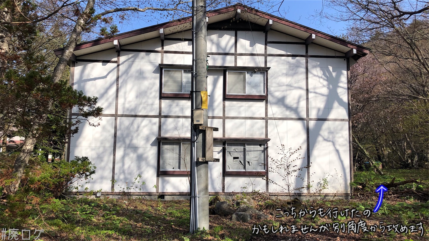 f:id:hiyapa:20210613174453j:image