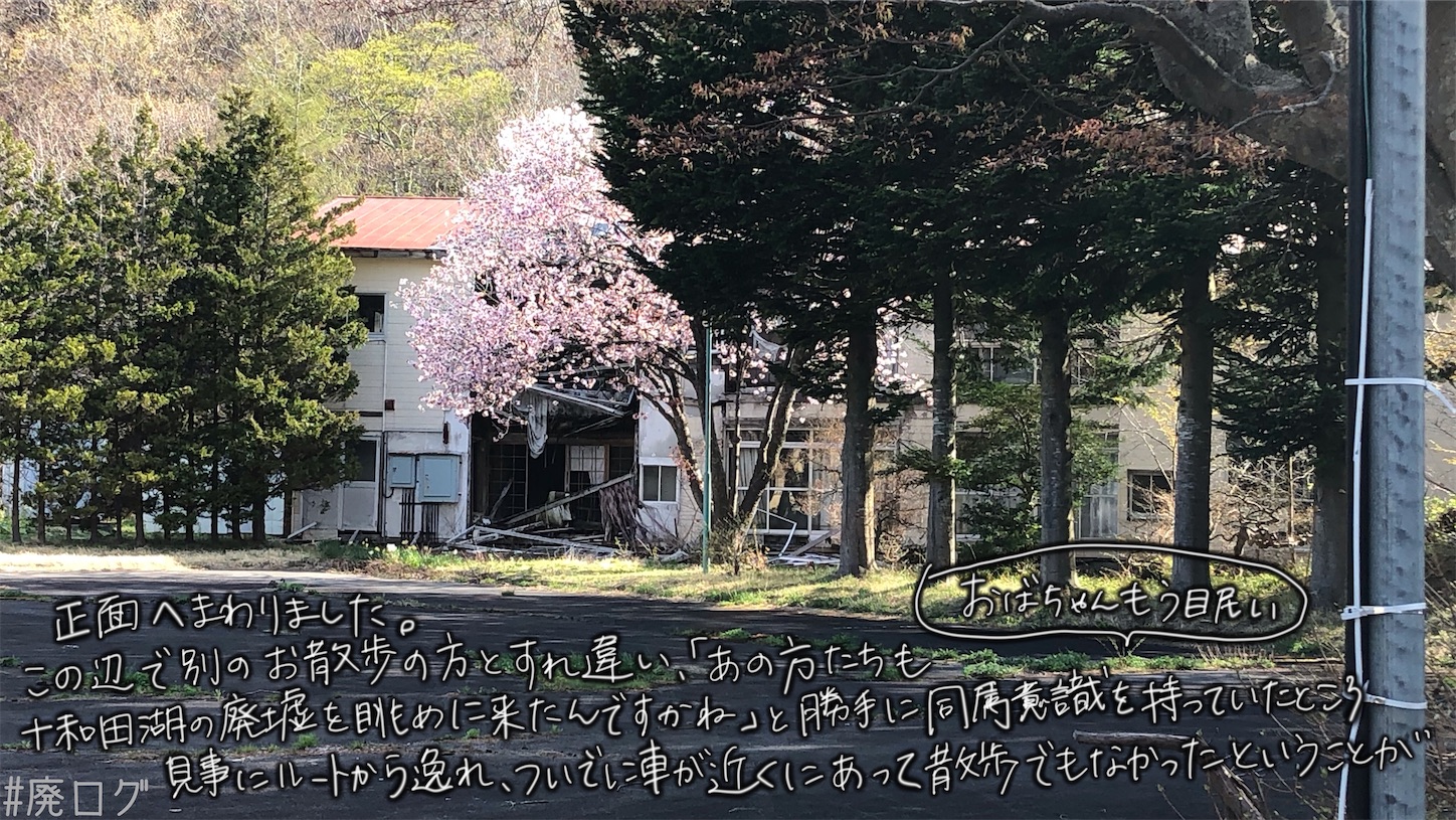 f:id:hiyapa:20210613174501j:image