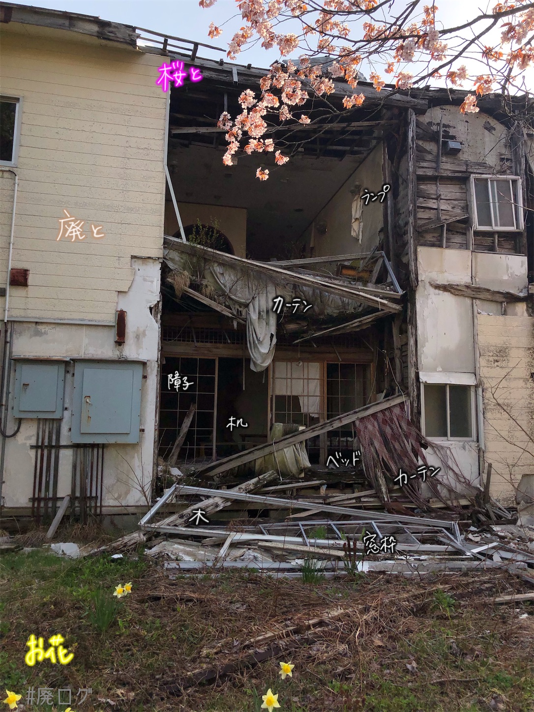 f:id:hiyapa:20210613174504j:image